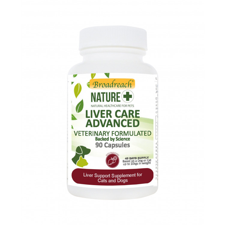Liver Care Advanced 90 kapsúl. Novinka! VYLEPŠENÁ RECEPTÚRA